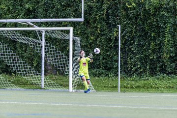 Bild 339 - wBJ Harburger TB - Hannover 96 : Ergebnis: 2:2